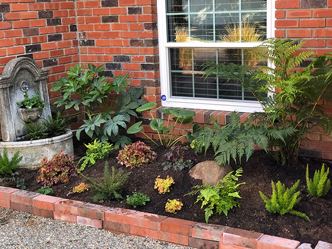 Landscape design utilizing shade plants landscapes, live plants, planters, landscaping, succulents, succulent arrangements, succulent garden, cactus, cacti, shade garden, perennials, annuals, garden plants