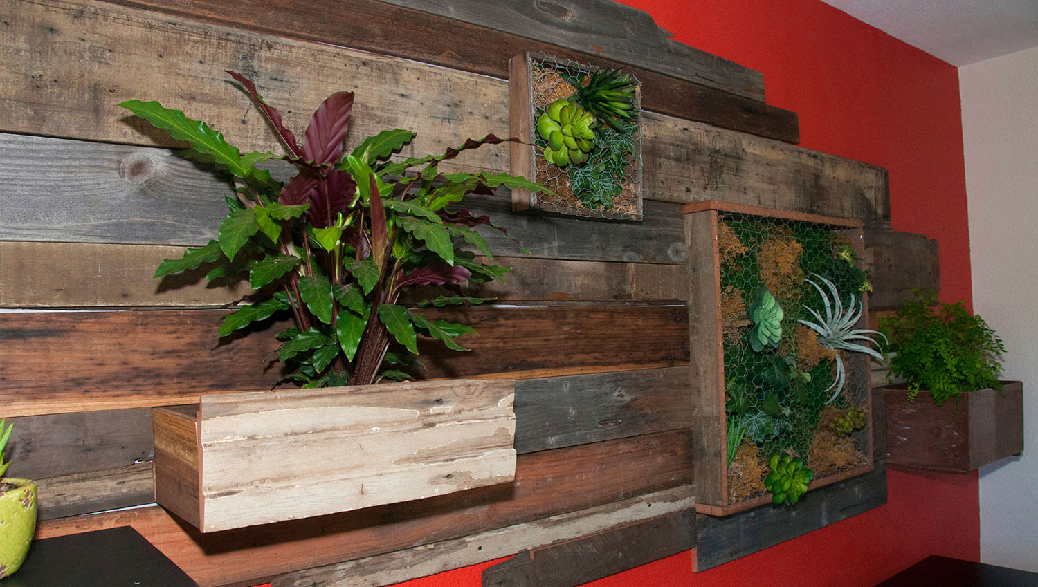 Living wall art for home or office