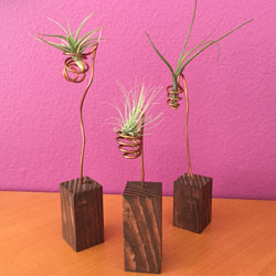 Airplant holders airplant holders, rustic wood, copper airplant holders, artsy airplant holders, rustic decor
