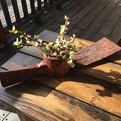 Rustic ax succulent holder rusted tools, rustic ax handle, succulent holder, succulent planter, rustic decor