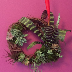 Living wreath with bromeliad, succulents and airplants Succulent wreath,live plants, succulent arrangements, airplants, planters, succulents, , succulent garden, live wreath, living wreath, rustic decor