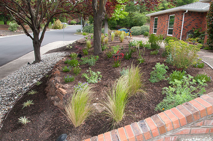 Garden landscape design utilizing driftwood, succulents and drought tolerant plants Urban garden studio, Garden landscape design, Succulent planters, landscapes, live plants, planters, landscaping, succulents, succulent arrangements, succulent garden, cactus, cacti,
