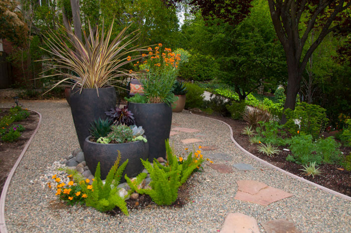 Garden landscape design utilizing driftwood, succulents and drought tolerant plants Urban garden studio, Garden landscape design, Succulent planters, landscapes, live plants, planters, landscaping, succulents, succulent arrangements, succulent garden, cactus, cacti,