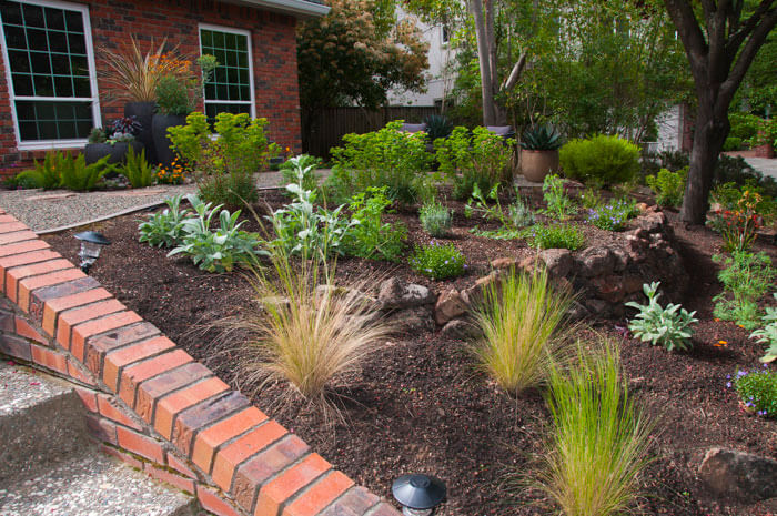 Garden landscape design utilizing driftwood, succulents and drought tolerant plants Urban garden studio, Garden landscape design, Succulent planters, landscapes, live plants, planters, landscaping, succulents, succulent arrangements, succulent garden, cactus, cacti,