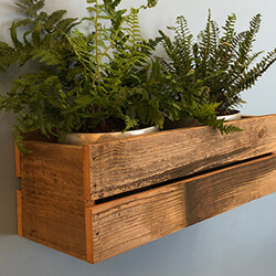 Airplant holders airplant holders, rustic wood, copper airplant holders, artsy airplant holders, rustic decor