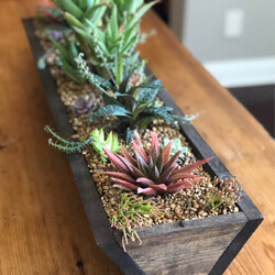 Airplant holders airplant holders, rustic wood, copper airplant holders, artsy airplant holders, rustic decor