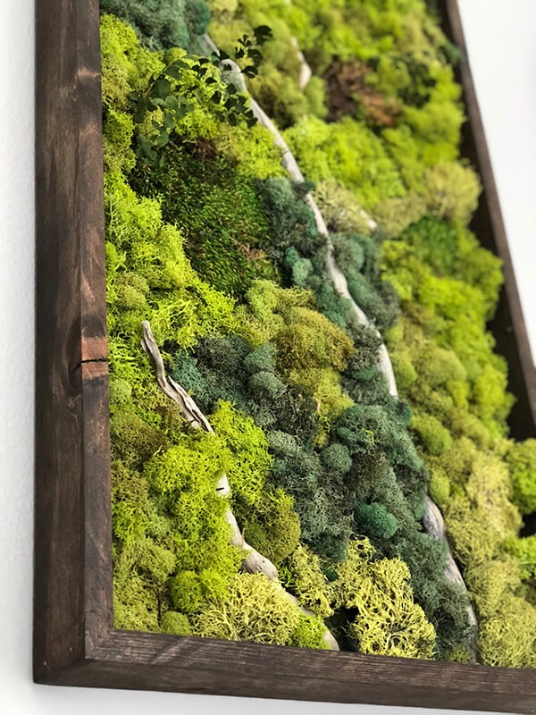 Vertical Wall Garden Art For Your Office Or Home Serving Sf Bay Area Vertical Wall Garden Living Reclaimed Wood Moss Succulents Ferns