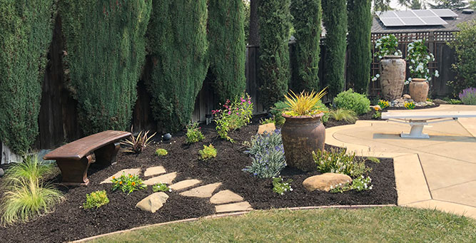 Landscape design utilizing shade plants landscapes, live plants, planters, landscaping, succulents, succulent arrangements, succulent garden, cactus, cacti, shade garden, perennials, annuals, garden plants