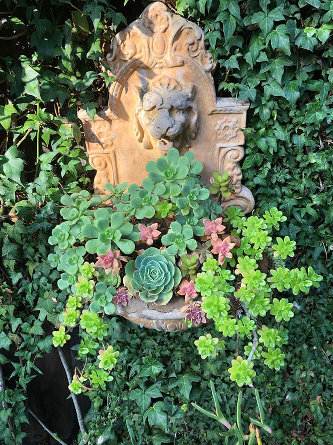Garden landscape design utilizing driftwood, succulents and drought tolerant plants Urban garden studio, Garden landscape design, Succulent planters, landscapes, live plants, planters, landscaping, succulents, succulent arrangements, succulent garden, cactus, cacti,