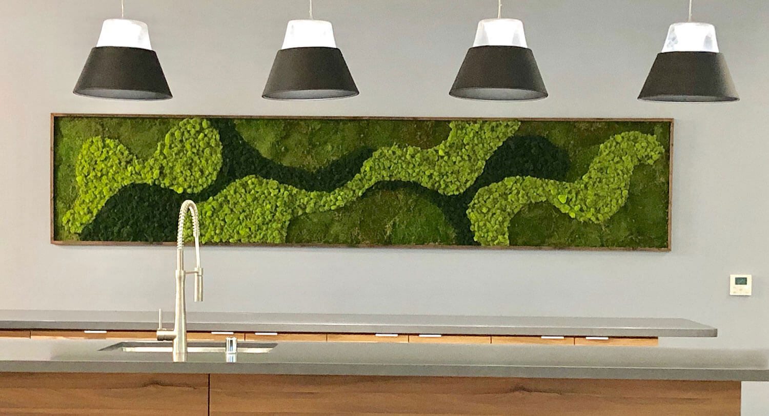 Custom Moss art for home or office moss art, moss office art, living art, moss box, moss art with barnwood, barn wood and moss, moss on barnwood