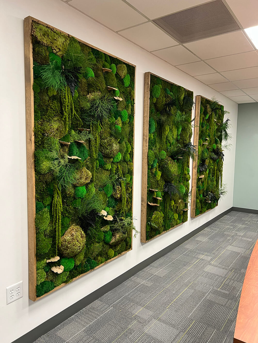 Nature's Palette Unveiled: Cushion moss, fern moss, and reindeer moss intertwine in this stunning moss art, creating a lush and soothing display of botanical elegance.